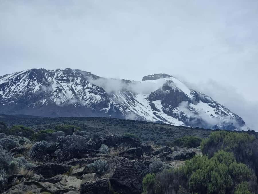 #1. Best Kilimanjaro Day Hike Marangu Route-ISMANI TOURS - Getting a pace that fits: Bubusha and Omani’s guiding style