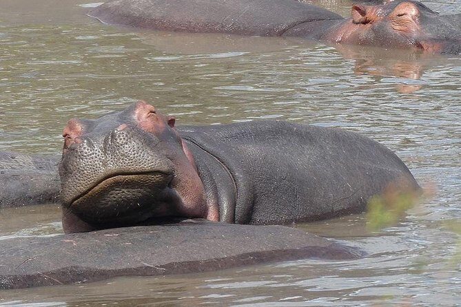 #1 Best Tanzania Safari Tarangire Day tour Adventure - Small Group Size: Why Max 7 Travelers Changes Your Day