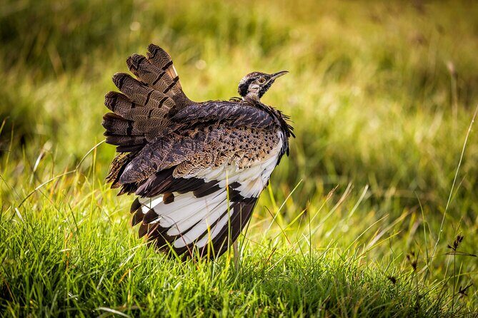 1 Day: Arusha National Park - Booking sanity check: what you should know before you go