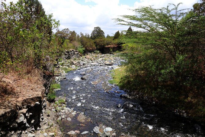 1 Day Arusha national park (Game drive and walking safari). - Game drive and walking safari: why you get both