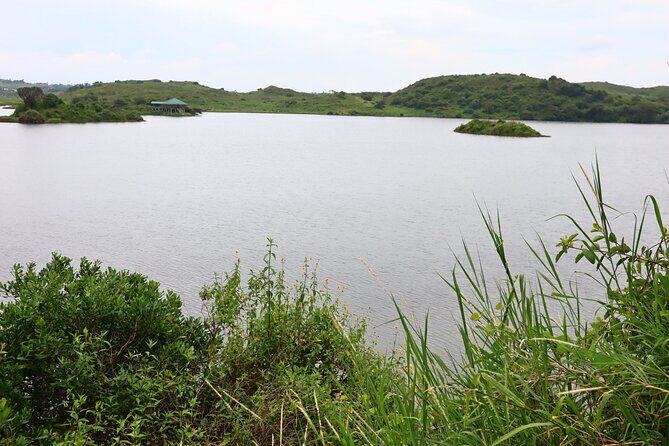 1 Day Arusha national park (Game drive and walking safari). - Wildlife possibilities: monkeys, buffaloes, zebras, giraffes, and more