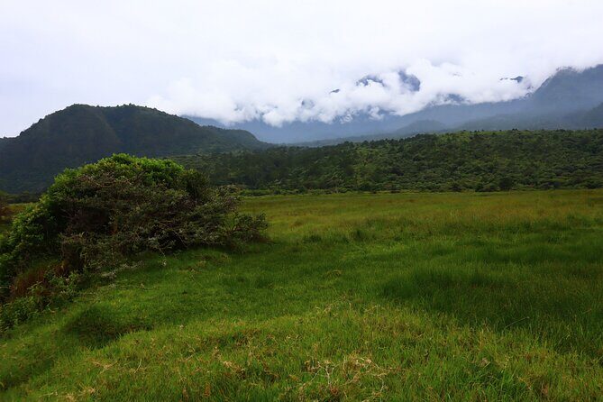 1 Day Arusha national park (Game drive and walking safari). - Arusha’s scenery focus: Momela Lakes and Mount Meru in real time