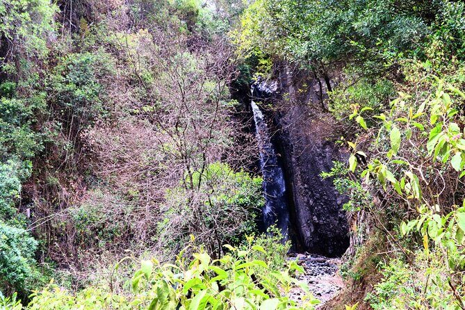 1 Day Arusha national park (Game drive and walking safari). - Price and value: is $450 per person fair?