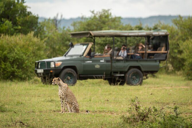 1-Day Fly in Shared Safari to Mikumi National Park from Zanzibar - Mikumi game drive: what to expect once you’re on safari