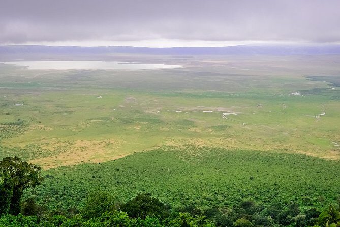 1 Day Joined Group Safari in Ngorongoro Crater National Park - Breakfast at 7:00 and a real crater game drive in a pop-up jeep