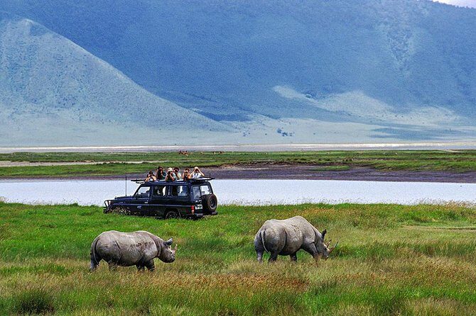 1 Day Joined Group Safari in Ngorongoro Crater National Park - The 5:00 am pickup from Arusha (and why it’s worth it)