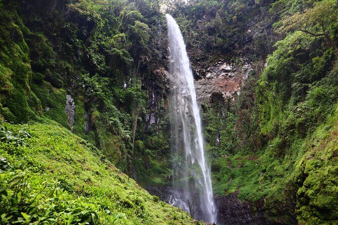 1 Day Kilimanjaro forest (mambori waterfalls). - Key Highlights You’ll Remember
