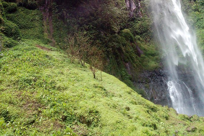 1 Day Kilimanjaro forest (mambori waterfalls). - Your Private Guide: Livingstone Makes the Day Flow