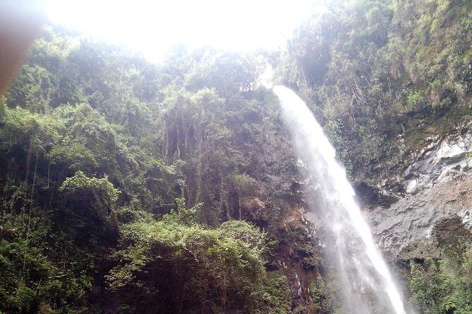 1 Day Kilimanjaro forest (mambori waterfalls). - Weather Reality: Plan Around the Forest’s Mood