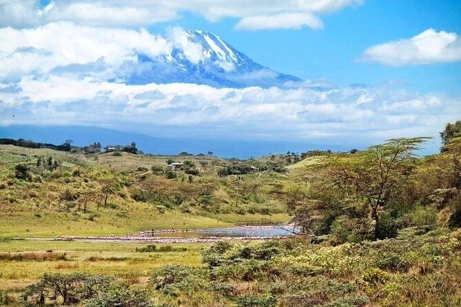 1 Day Kilimanjaro Hiking - Machame Route - Machame Gate to Rainforest: Warming Up the Legs