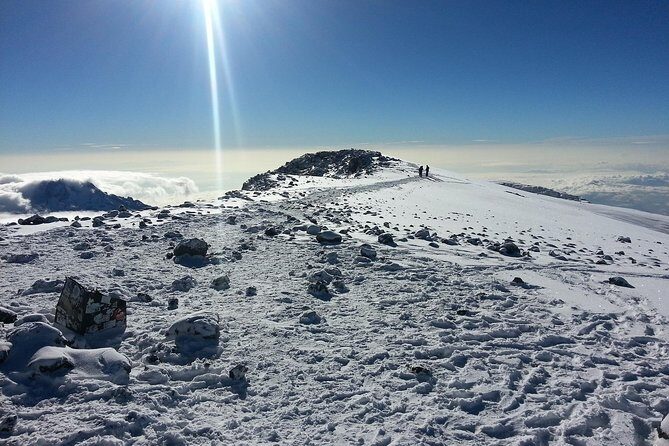 1 Day Kilimanjaro Hiking - Machame Route - Descending via Mweka Route: Protect Your Knees