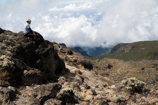 1 Day Marangu Route Climbing Kilimanjaro - Key highlights you’ll actually care about