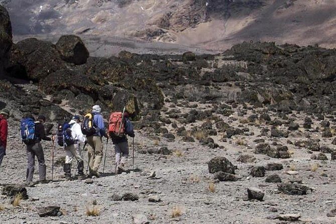1 Day Marangu Route Climbing Kilimanjaro - Lunch on the mountain: simple, timed, and included