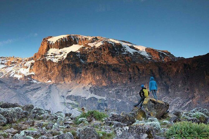 1 Day Marangu Route Climbing Kilimanjaro - Price and value: what $250.77 really buys you