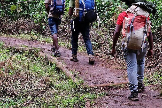 1 Day Marangu Route Climbing Kilimanjaro - Arusha pickup and the ride to the park gate