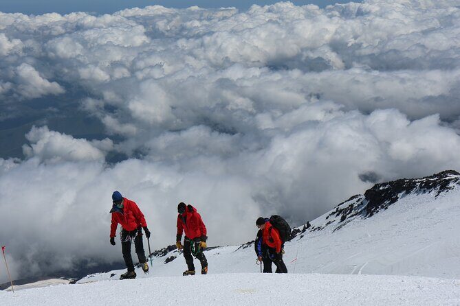 1 Day Marangu route trip up to Mandara Hut | Kilimanjaro hiking - Kilimanjaro in One Day: What the Marangu Route Day Hike Really Gives You