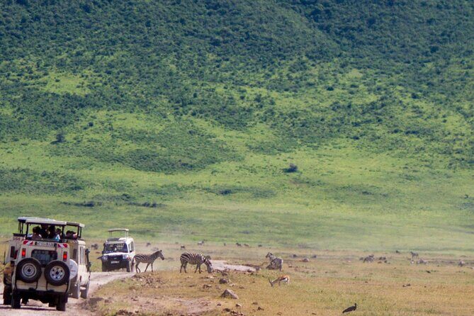 1 Day Ngorongoro Crater Group Jioning Safari - Descending into the crater floor for the day game drive