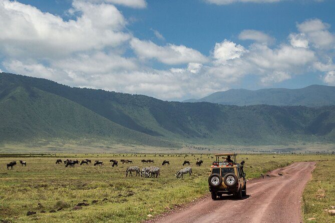 1 Day Ngorongoro Crater Group Jioning Safari - Wildlife you can expect: Big Five plus birds and big surprises