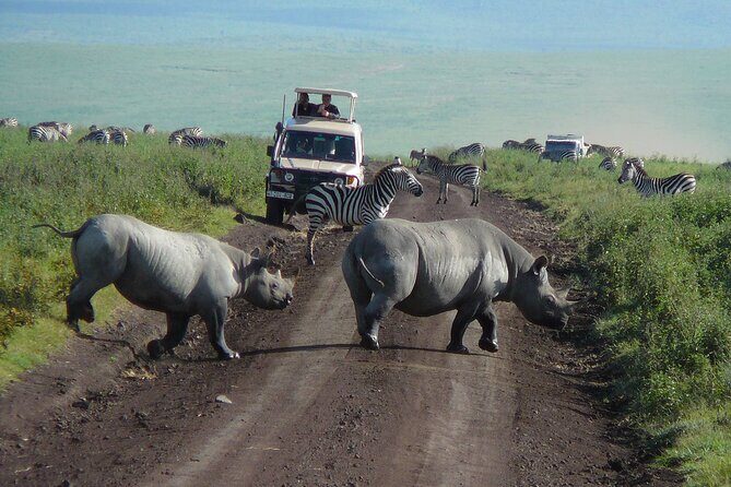 1 Day Ngorongoro Crater Group Jioning Safari - Arusha departure at 6:30: the best kind of early