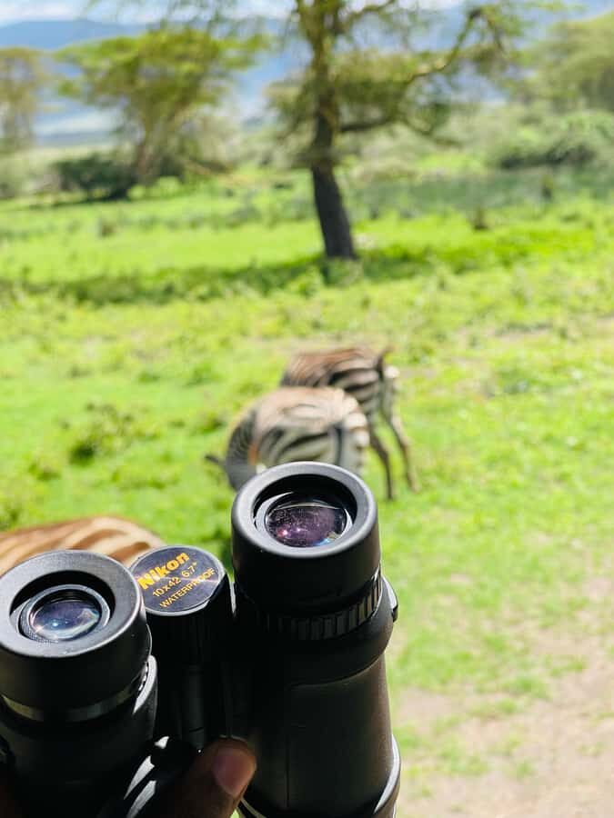1 Day Ngorongoro Crater Group joining safari - Price and Value: What $315 Covers (and What It Doesn’t)