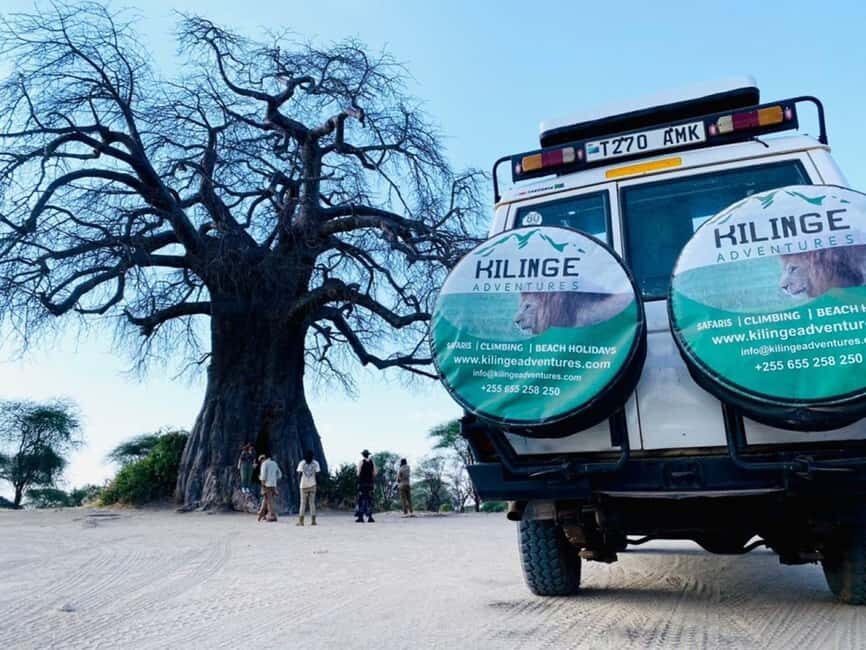 1-Day Ngorongoro Crater Special Big 5- Joining Group Safari - The early run from Arusha or Moshi: logistics that matter