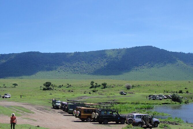 1 Day Private Ngorongoro Crater Safari - Private tour style from Arusha: transport, guide quality, and a smoother day