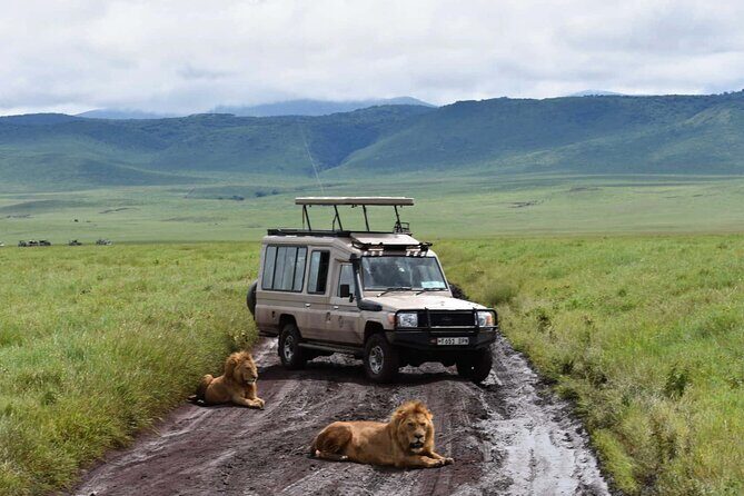 1 Day Private Ngorongoro Crater Safari - What to pack for a crater day that starts at dawn