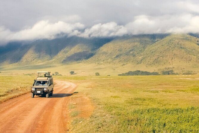 1 Day Private Ngorongoro Crater Safari - The hippo pool lunch stop: where eating turns into wildlife watching