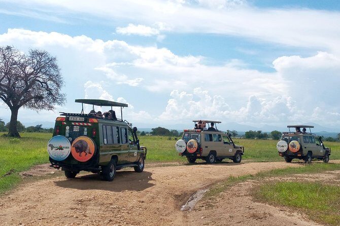 1 Day Safari to Mikumi National Park - Meals and timing: breakfast, lunch, and the rhythm of breaks