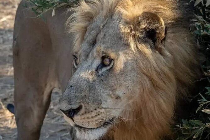 1. Day safaris to Mikumi by Train from dar es salaam - FAQ
