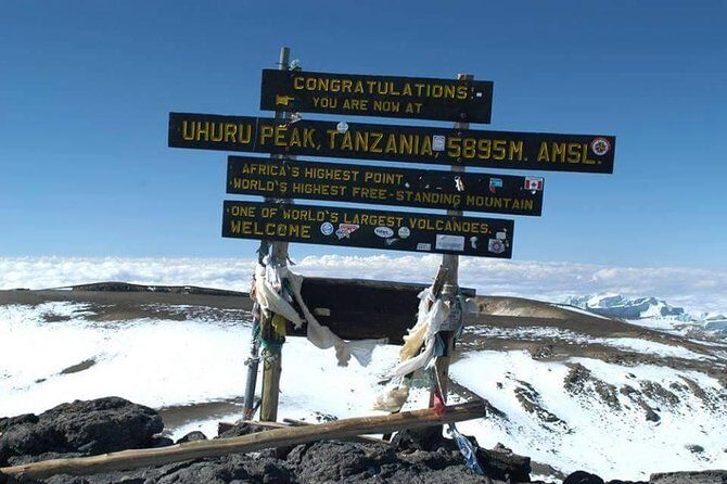 1 day tour hike mount kilimanjaro through marangu route - Guides, organization, and the real human touch (Peter, Seka, Alex, and John)