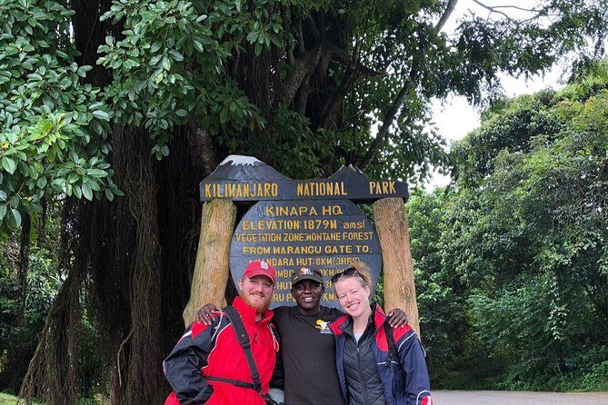 1 day tour hike mount kilimanjaro through marangu route - Lunch at Mandara hut: more than fuel, a real pause in the day