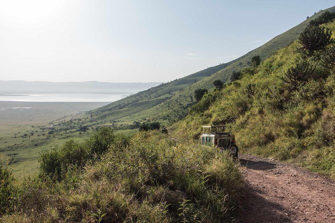 1-Day Tour to Ngorongoro Crater - Early Morning in Arusha: Timing That Makes the Safari Work
