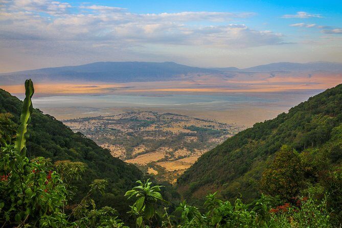 1-Day Tour to Ngorongoro Crater - Getting to the Crater Floor: What the Drive Sets Up