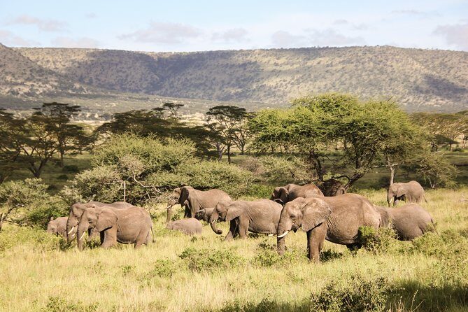 1 days Tanzania Sharing Joining group Safari - Ngorongoro Crater - Moshi or Arusha pickup: the drive math that shapes your day