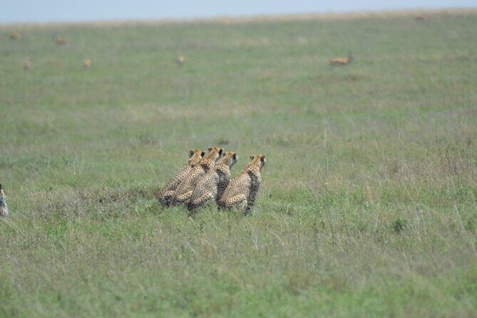 10-Day Amazing Comfort Camping Safari - Value and what your $3,899 really buys