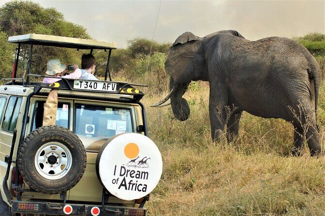 10-Day Amazing Comfort Camping Safari - Day 4: Lake Manyara’s birding focus and an early-morning wildlife push