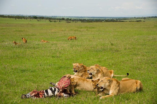 10 days family safari Tanzania - Lake Natron on Day 3: Flamingo Breeding Area Plus Walks and Waterfalls