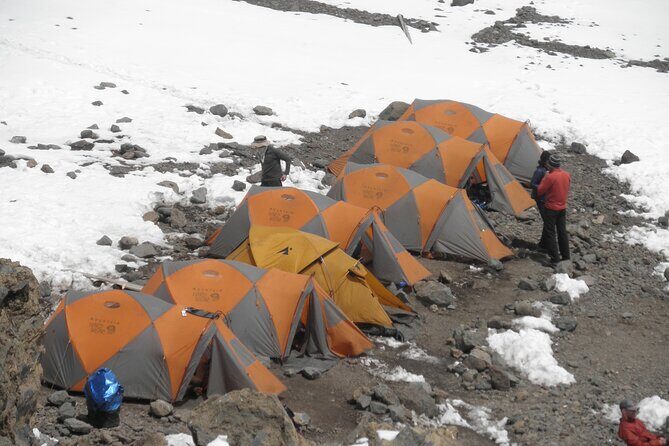 10 Days Machame Route Kilimanjaro Climb - Day-by-Day: From Machame Gate to Shira Plateau Camps