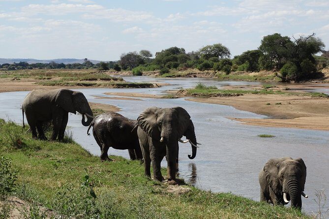 10 days Safari to Nyerere NP, Ruaha NP, Udzungwa NP and Mikumi NP + Isimila Site - Key highlights people remember