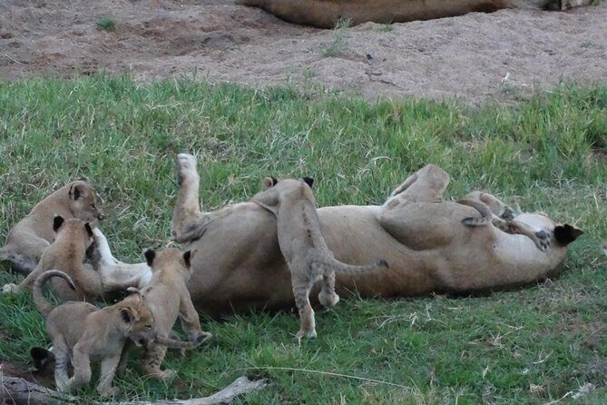 10 days Safari to Nyerere NP, Ruaha NP, Udzungwa NP and Mikumi NP + Isimila Site - Price and value: what you’re paying for at $2,898 per person