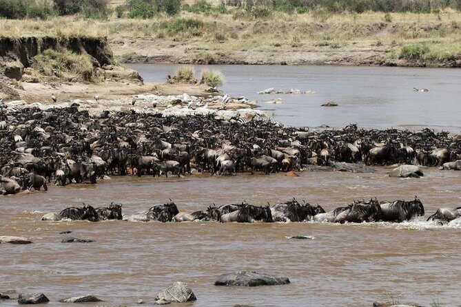 12 Days Amazing Tanzania Wildlife and Cultural Experience - Lake Eyasi: culture you can actually talk to
