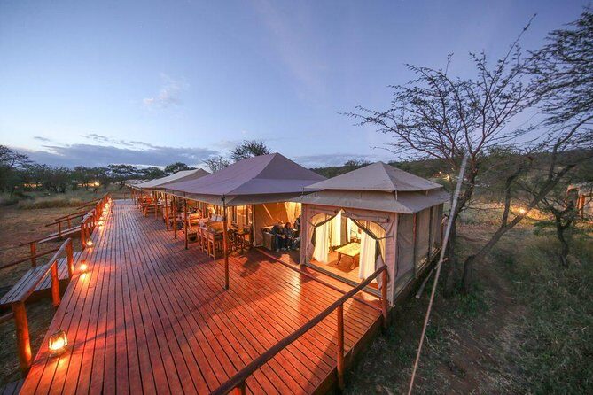 12 Days Amazing Tanzania Wildlife and Cultural Experience - The safari vehicle and game-drive rhythm