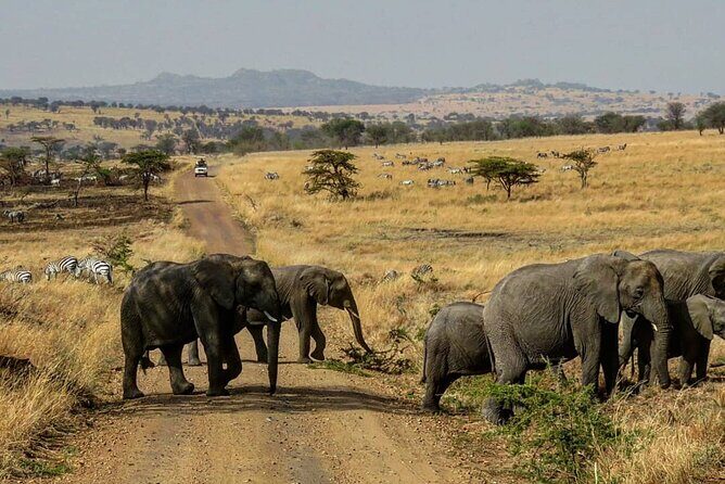 12 Days Safari Tour around Mt Kilimanjaro off the beaten - The practical reset in Arusha (via Moshi): a lighter day before Rift Valley drives