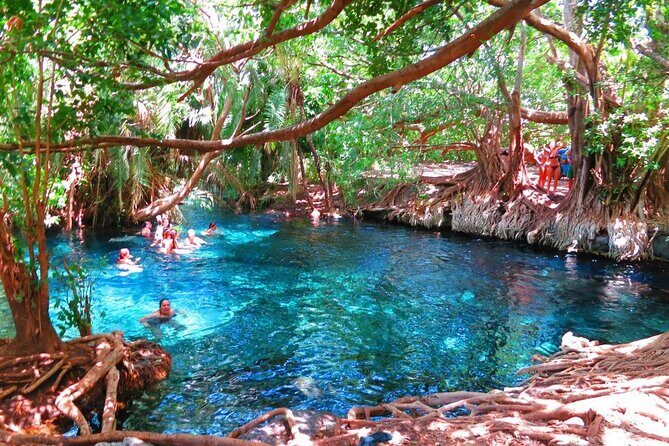 2-Day Masai Village Camping Experience and Kikuletwa Hot Spring - Key highlights to know before you go