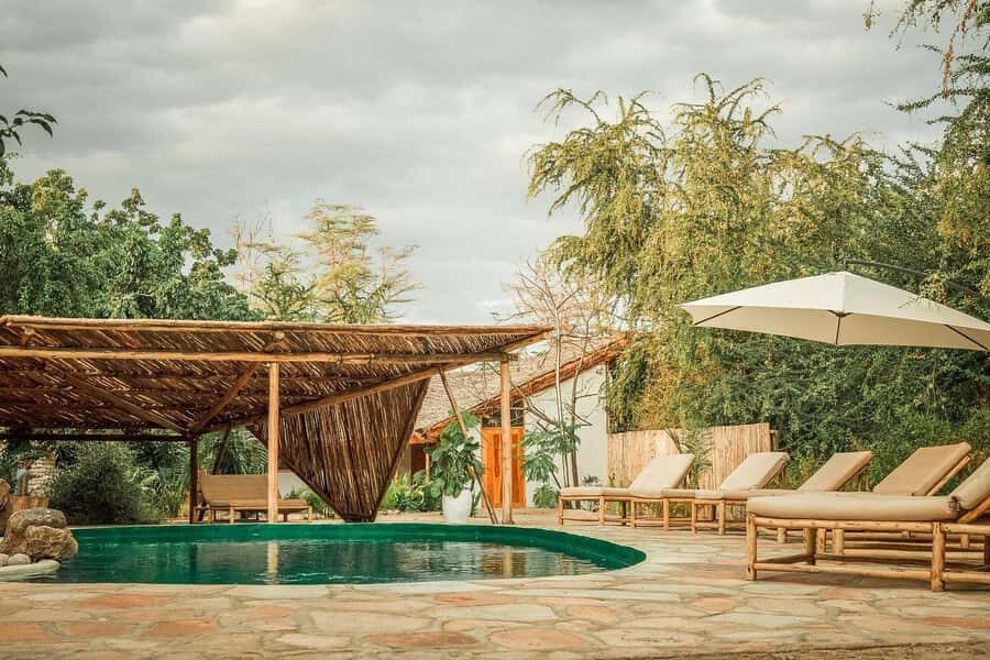 2-Day Private Luxury Safari from Zanzibar with Flights - Key highlights at a glance
