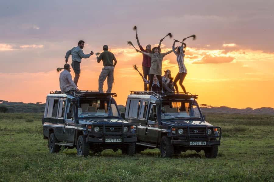 2-Day Private Luxury Safari from Zanzibar with Flights - Why this Zanzibar luxury safari makes sense in 2 days