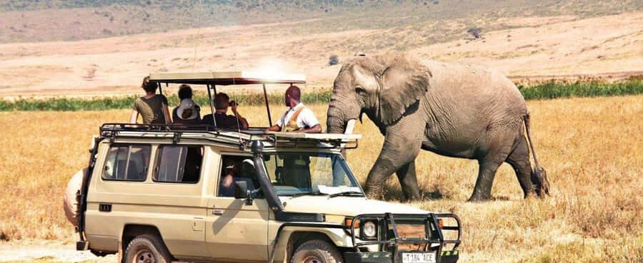 2-Day Private Luxury Safari from Zanzibar with Flights - Ngorongoro Marera Lodge: comfort after a long day on the move
