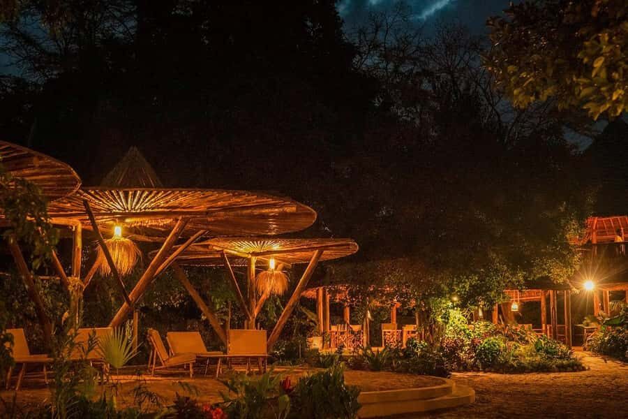 2-Day Private Luxury Safari from Zanzibar with Flights - Day 2: Ngorongoro Crater descent and a wildlife-heavy morning