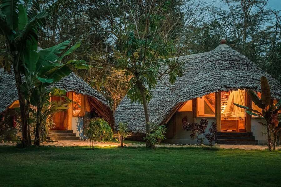 2-Day Private Luxury Safari from Zanzibar with Flights - Price and value: what $1,600 includes (and what it costs you in time)